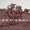 Gravel : La Karoobaix--Mis à Jour