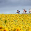 Best-of Tour de France par Strava